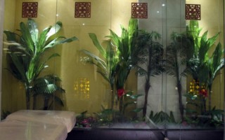 麻辣养生肉食盛宴(麻辣养生肉食盛宴图片)