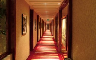 飘香茶艺，悠然养生之旅(飘香茶叶)